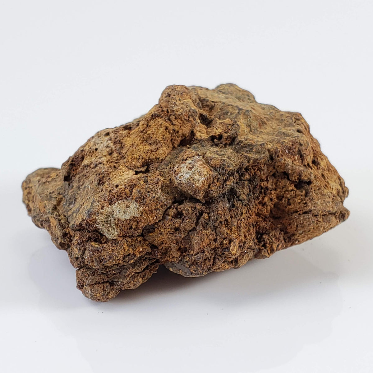 Sericho Meteorite | 20.6 Grams | As found Individual | MG Pallasite | Kenya 4
