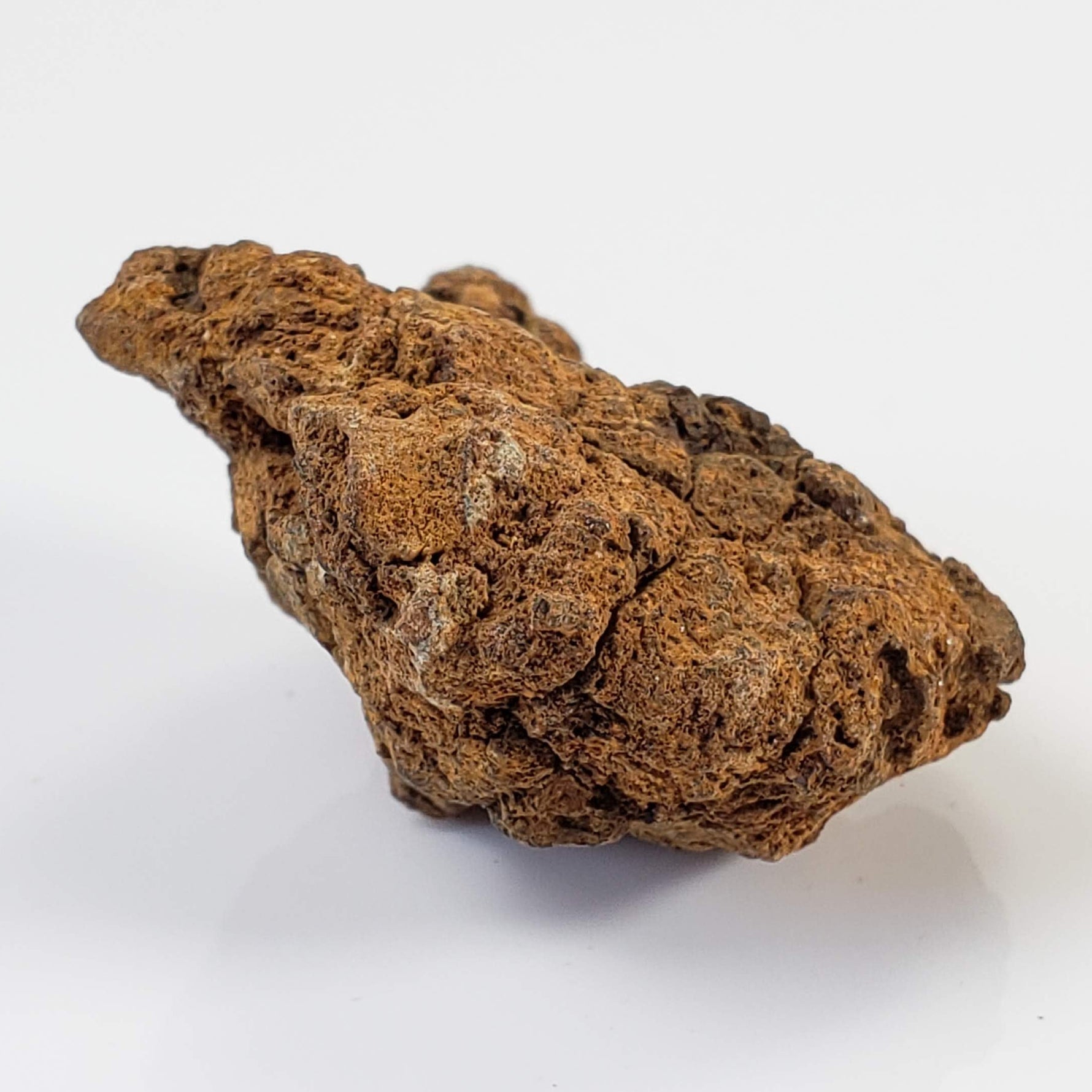 Sericho Meteorite | 20.6 Grams | As found Individual | MG Pallasite | Kenya 2