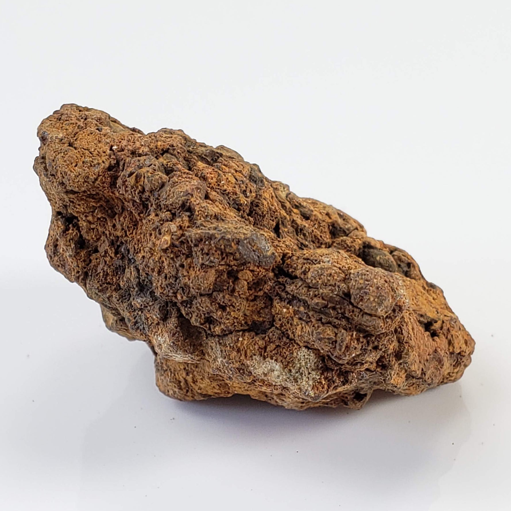 Sericho Meteorite | 20.6 Grams | As found Individual | MG Pallasite | Kenya 5