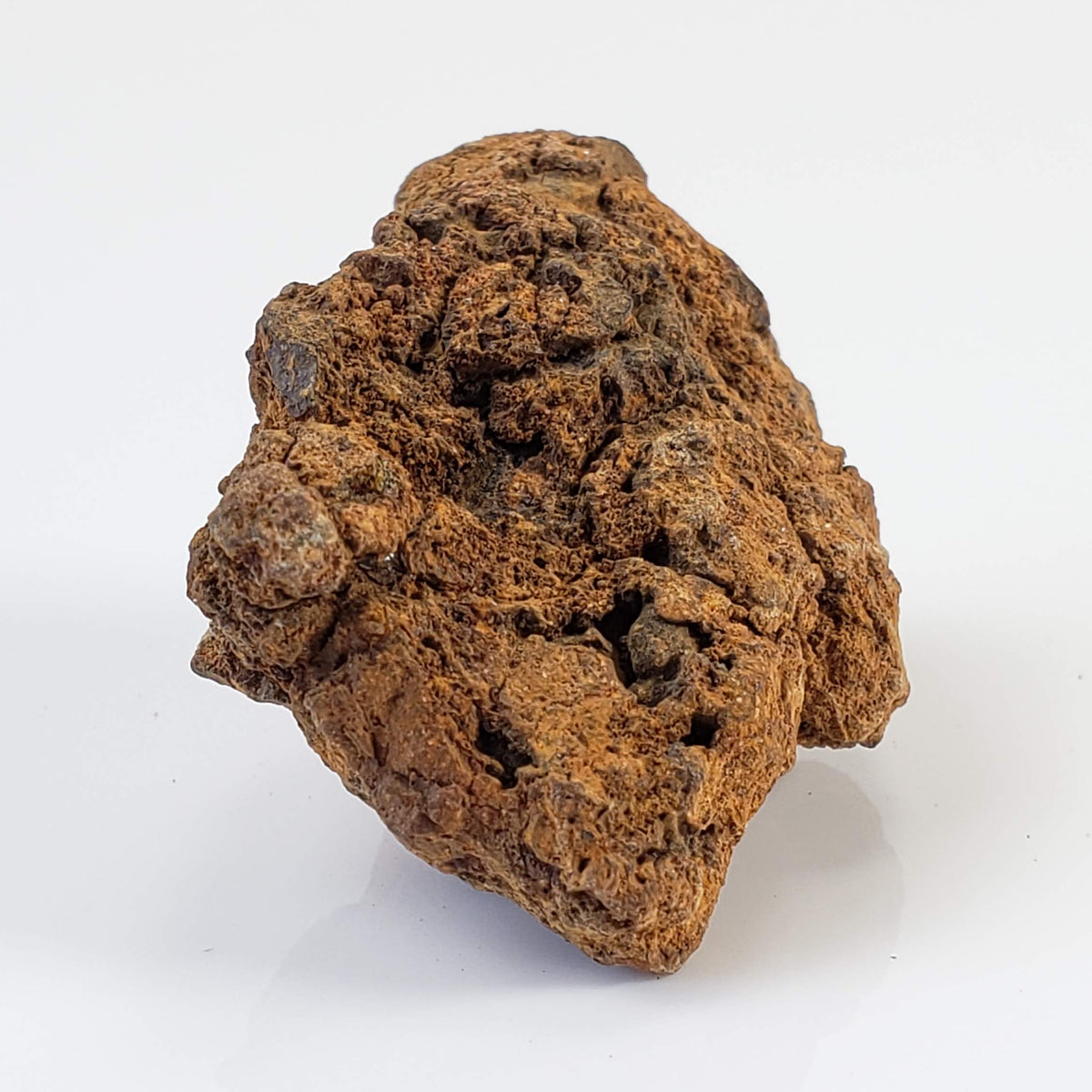 Sericho Meteorite | 20.6 Grams | As found Individual | MG Pallasite | Kenya 6