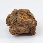 Sericho Meteorite | 20.6 Grams | As found Individual | MG Pallasite | Kenya 7