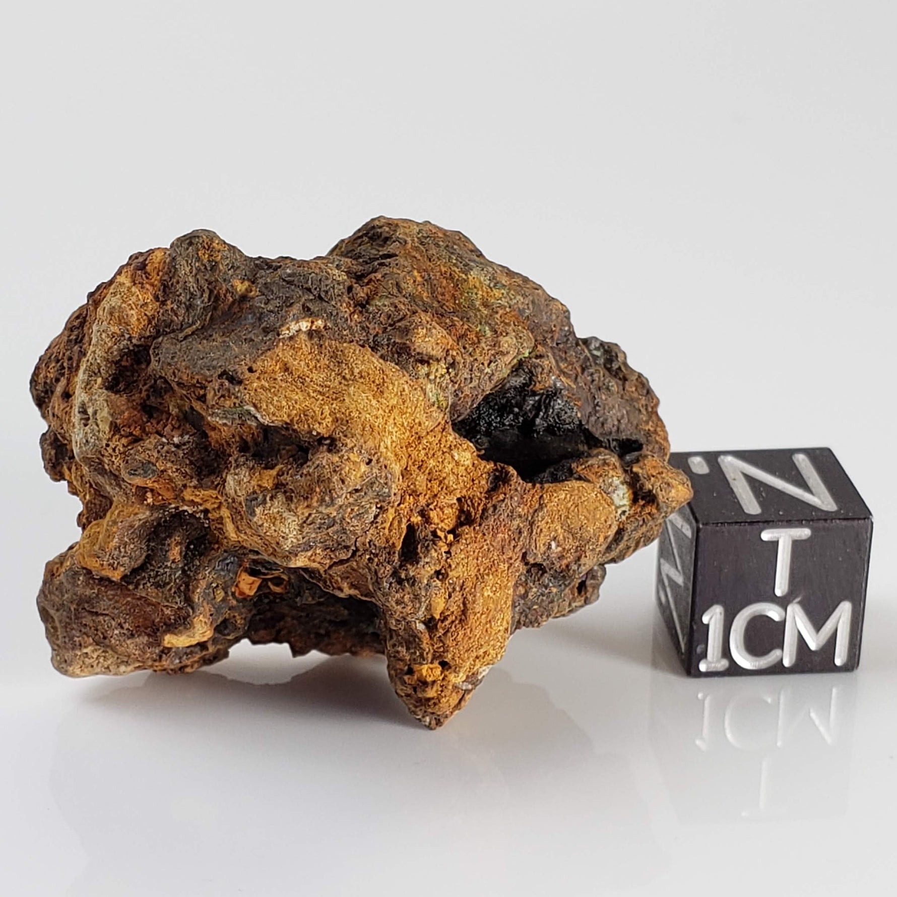 Sericho Meteorite | 21.8 Grams | As found Individual | MG Pallasite | Kenya 0