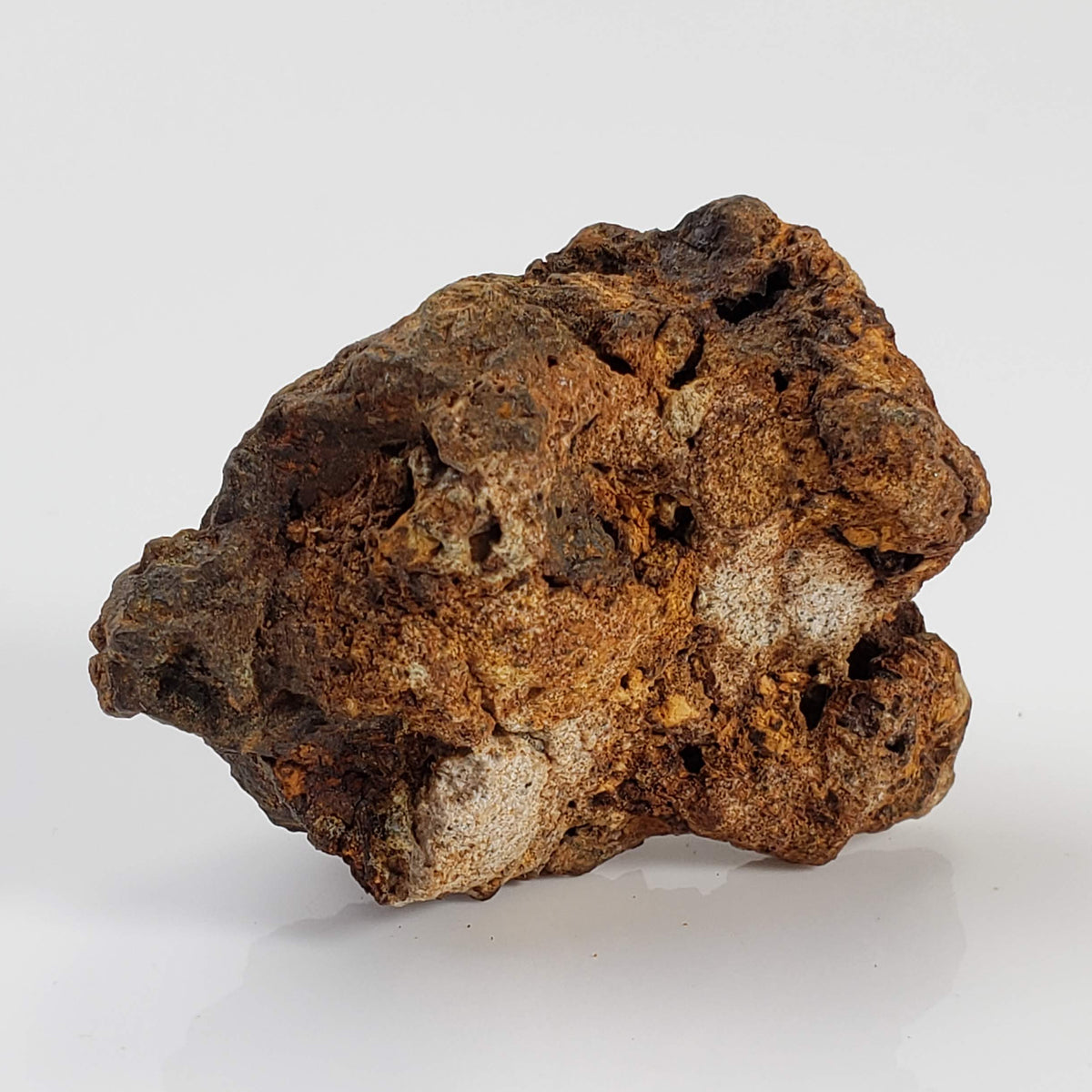 Sericho Meteorite | 21.8 Grams | As found Individual | MG Pallasite | Kenya 6
