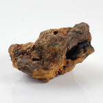 Sericho Meteorite | 21.8 Grams | As found Individual | MG Pallasite | Kenya 2
