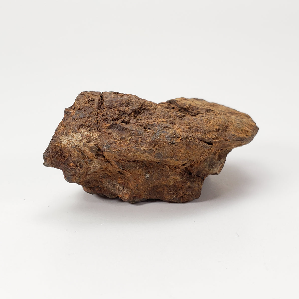  Sericho Meteorite | 22 Grams | As found Individual | MG Pallasite | Kenya Africa 6