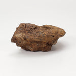  Sericho Meteorite | 22 Grams | As found Individual | MG Pallasite | Kenya Africa 6