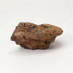  Sericho Meteorite | 22 Grams | As found Individual | MG Pallasite | Kenya Africa 6