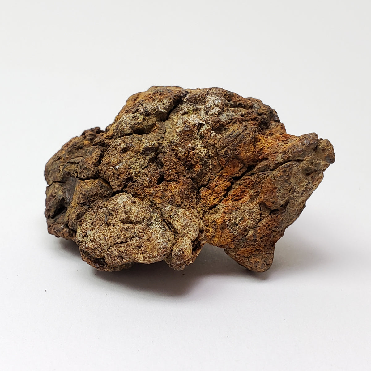  Sericho Meteorite | 23.2 Grams | As found Individual | MG Pallasite | Kenya Africa 5