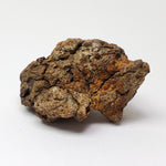  Sericho Meteorite | 23.2 Grams | As found Individual | MG Pallasite | Kenya Africa 5