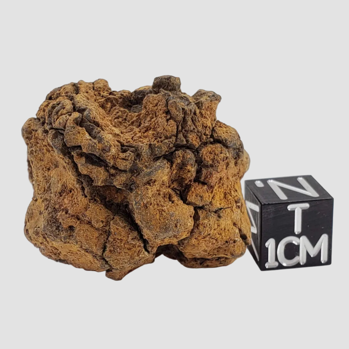  Sericho Meteorite | 27 Grams | As found Individual | MG Pallasite | Kenya Africa 