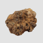  Sericho Meteorite | 27 Grams | As found Individual | MG Pallasite | Kenya Africa 4