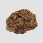  Sericho Meteorite | 27 Grams | As found Individual | MG Pallasite | Kenya Africa 5