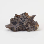  Seymchan Meteorite | 1.75 gr | Part Slice | Olivine Crystals | Pallasite PMG | Russia 2