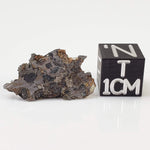  Seymchan Meteorite | 1.75 gr | Part Slice | Olivine Crystals | Pallasite PMG | Russia 