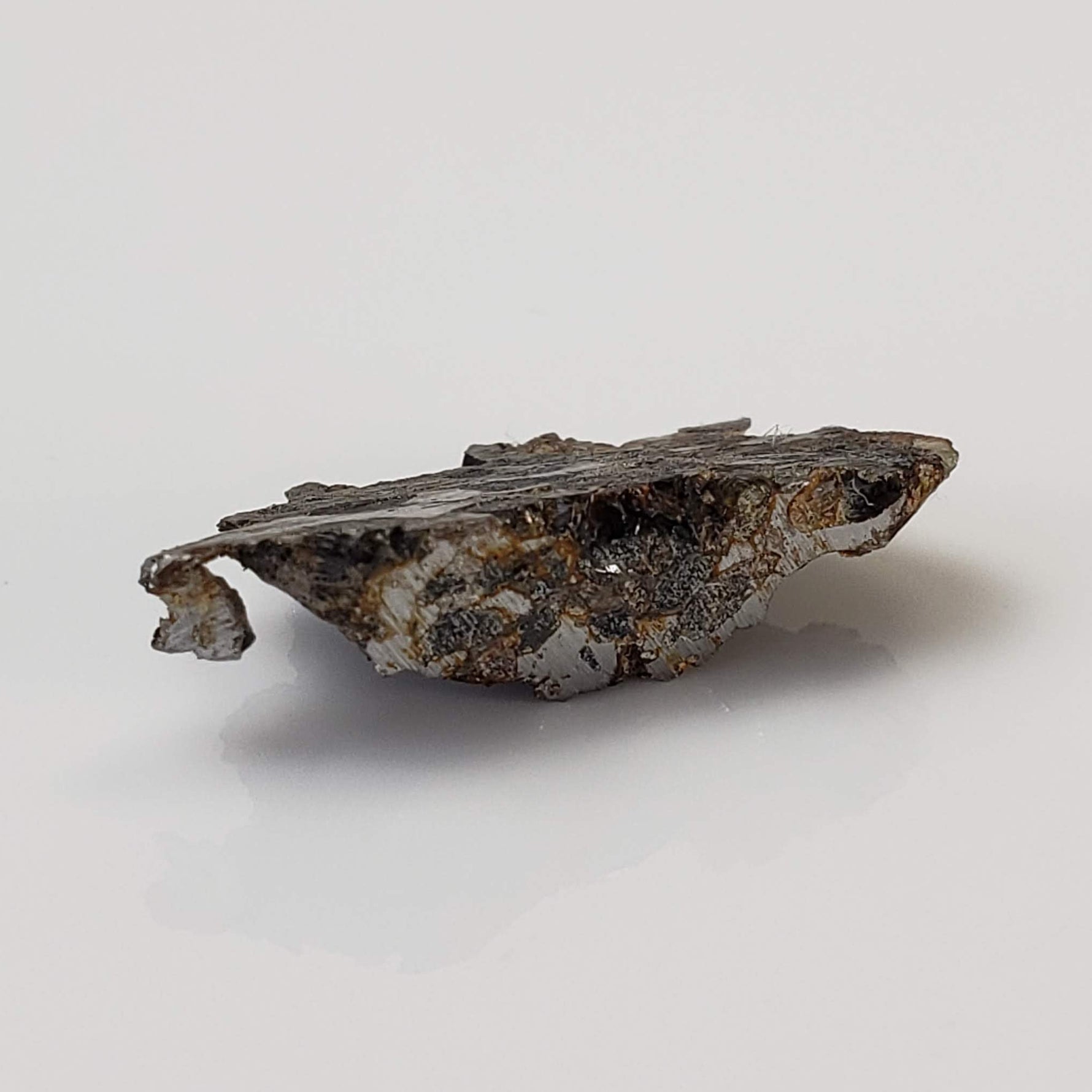  Seymchan Meteorite | 1.75 gr | Part Slice | Olivine Crystals | Pallasite PMG | Russia 6
