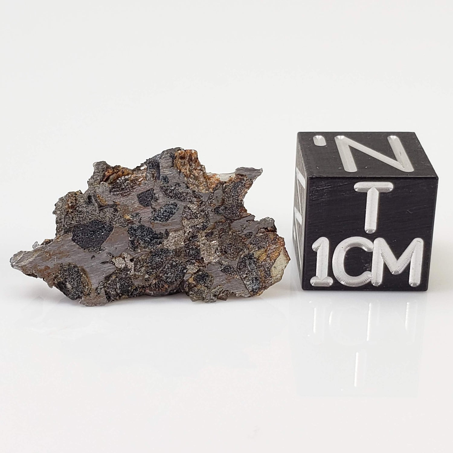 Seymchan Meteorite | 1.75 gr | Part Slice | Olivine Crystals | Pallasite PMG | Russia 