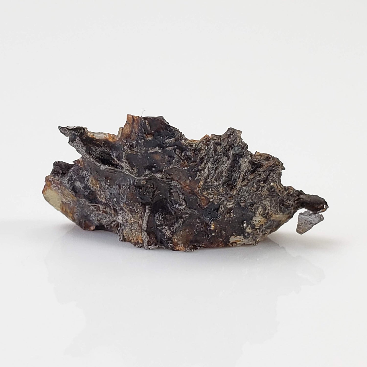  Seymchan Meteorite | 1.75 gr | Part Slice | Olivine Crystals | Pallasite PMG | Russia 1