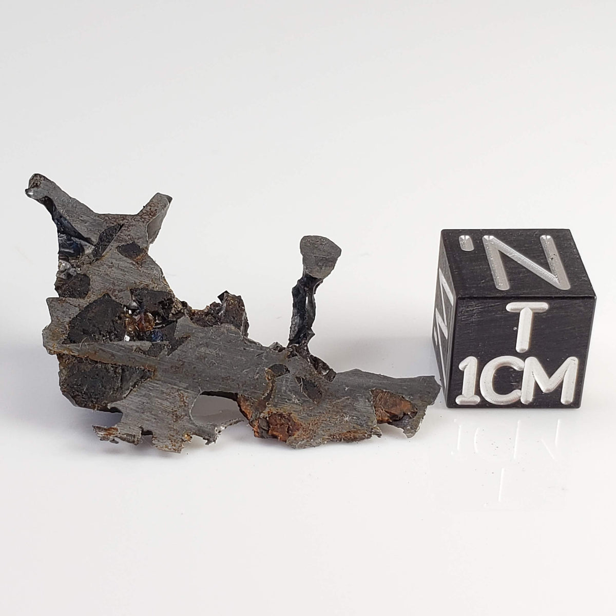  Seymchan Meteorite | 2.96 gr | Part Slice | Olivine Crystals | Pallasite PMG | Russia 