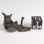  Seymchan Meteorite | 2.96 gr | Part Slice | Olivine Crystals | Pallasite PMG | Russia 