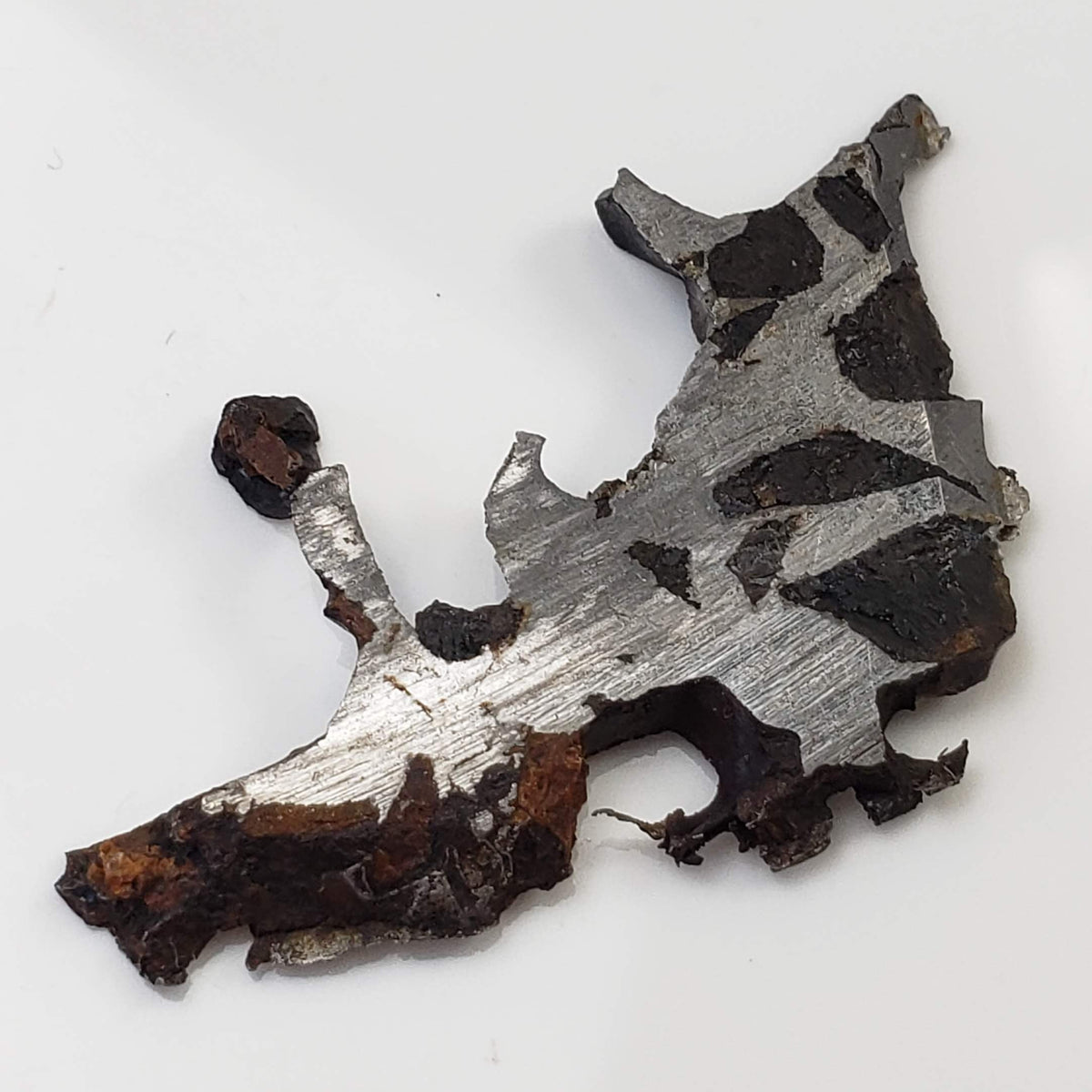  Seymchan Meteorite | 2.96 gr | Part Slice | Olivine Crystals | Pallasite PMG | Russia 1