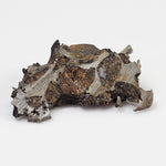  Seymchan Meteorite | 4.15 gr | Part Slice | Olivine Crystals | Pallasite PMG | Russia 6