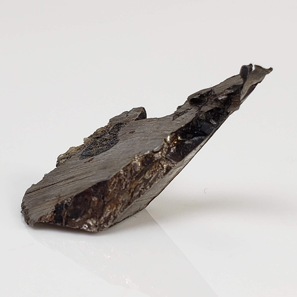 Seymchan Meteorite | 5.87 gr | Part Slice | Olivine Crystals | Pallasite PMG | Russia-canagem-5