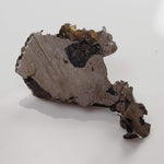 Seymchan Meteorite | 5.87 gr | Part Slice | Olivine Crystals | Pallasite PMG | Russia-canagem-3