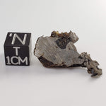 Seymchan Meteorite | 5.87 gr | Part Slice | Olivine Crystals | Pallasite PMG | Russia-canagem-0
