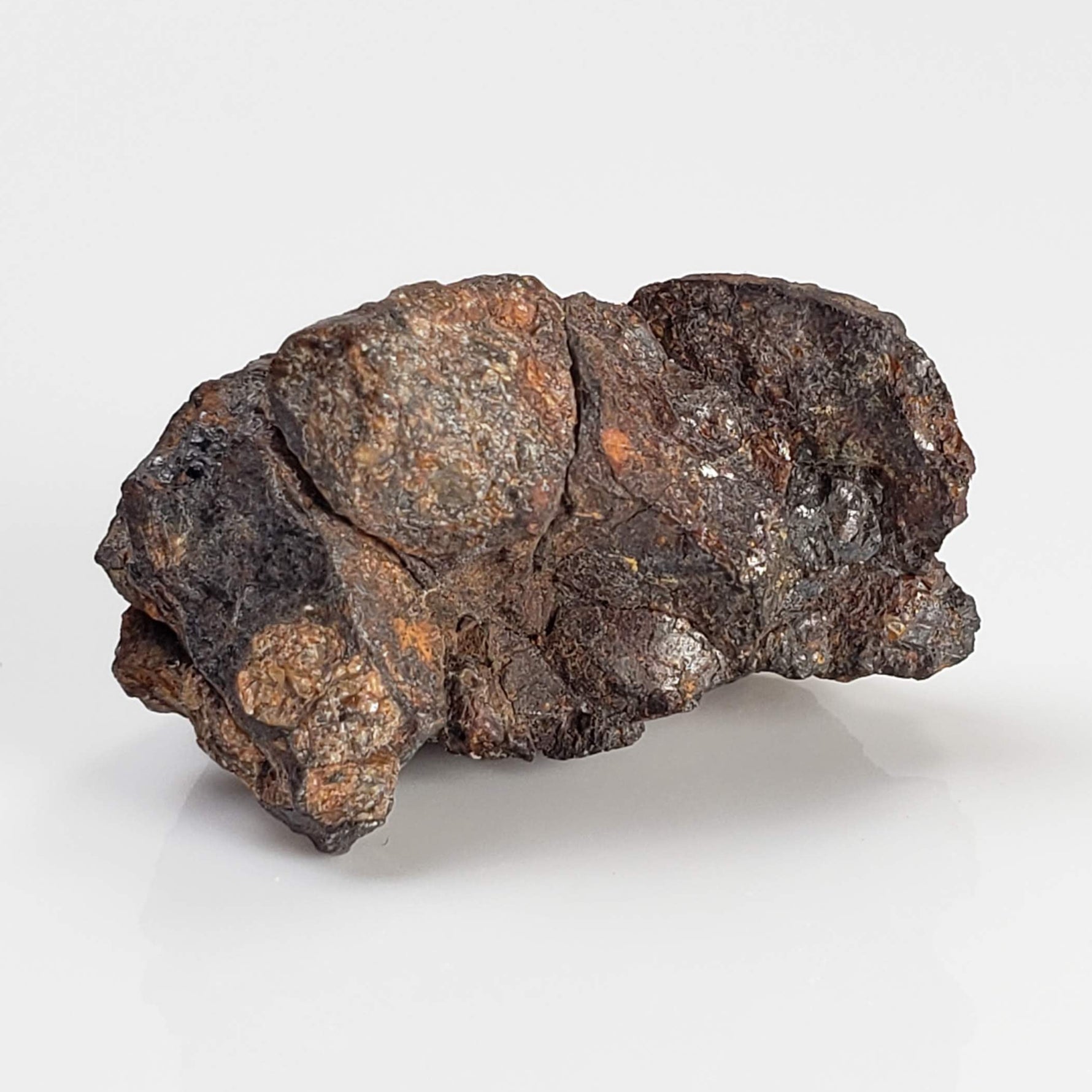  Seymchan Meteorite | 6.48gr | Fragment | Pallasite PMG | Russia 1