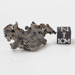  Seymchan Meteorite | 7.14 gr | Part Slice | Olivine Crystals | Pallasite PMG | Russia 