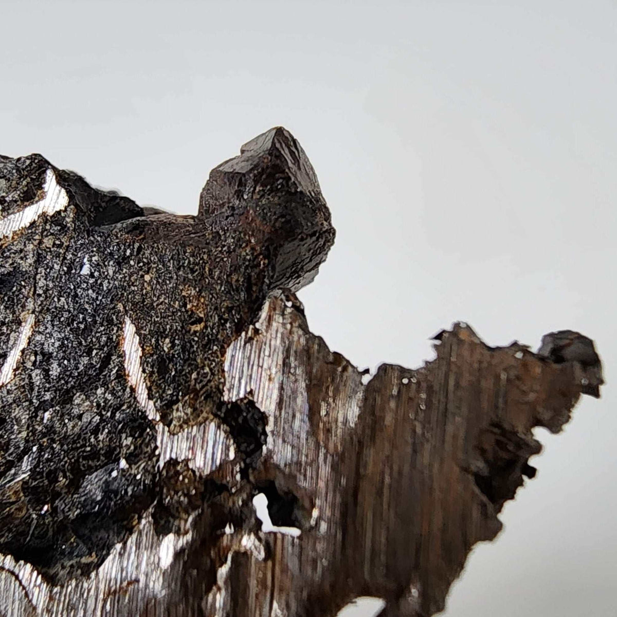  Seymchan Meteorite | 7.14 gr | Part Slice | Olivine Crystals | Pallasite PMG | Russia 8