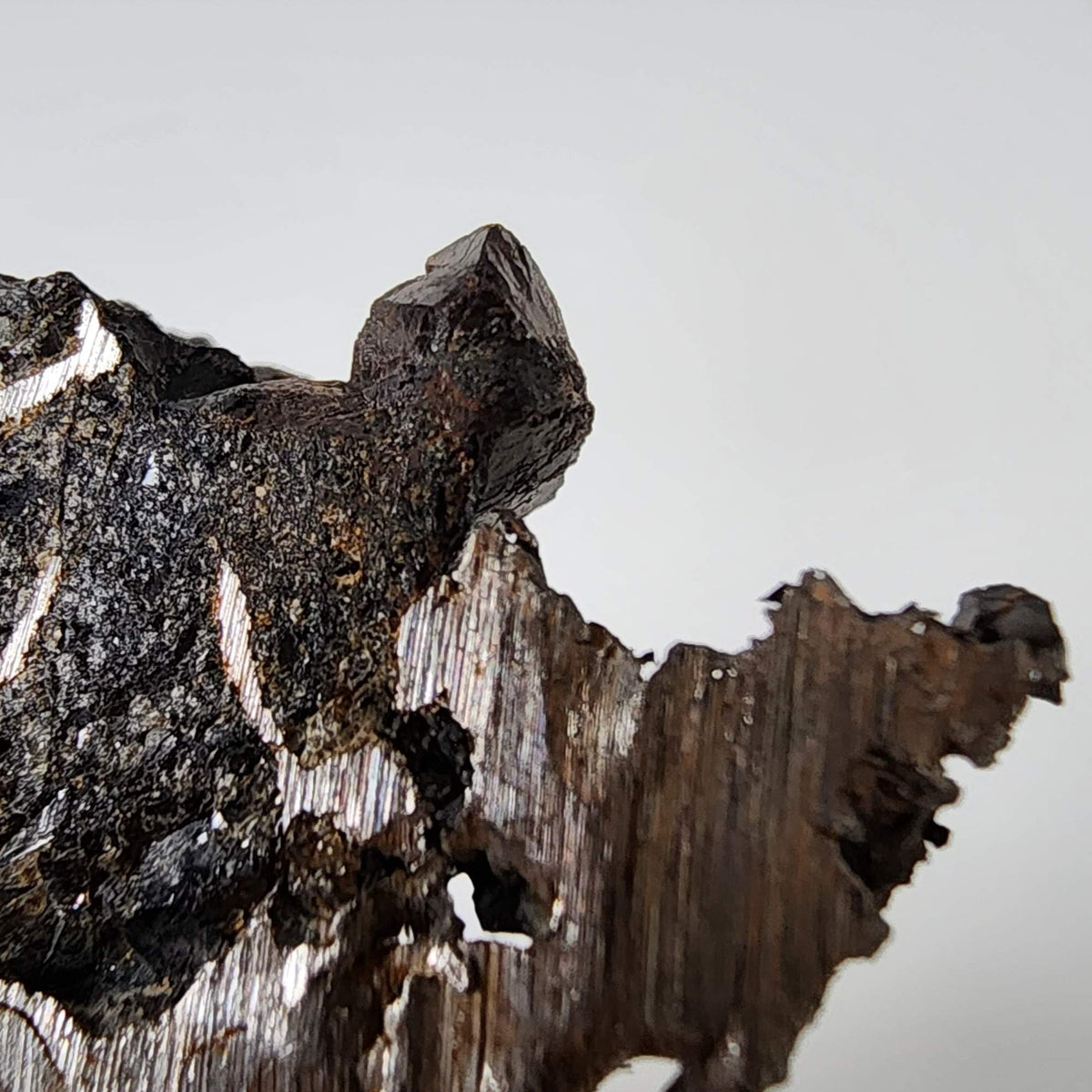  Seymchan Meteorite | 7.14 gr | Part Slice | Olivine Crystals | Pallasite PMG | Russia 8