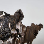  Seymchan Meteorite | 7.14 gr | Part Slice | Olivine Crystals | Pallasite PMG | Russia 8