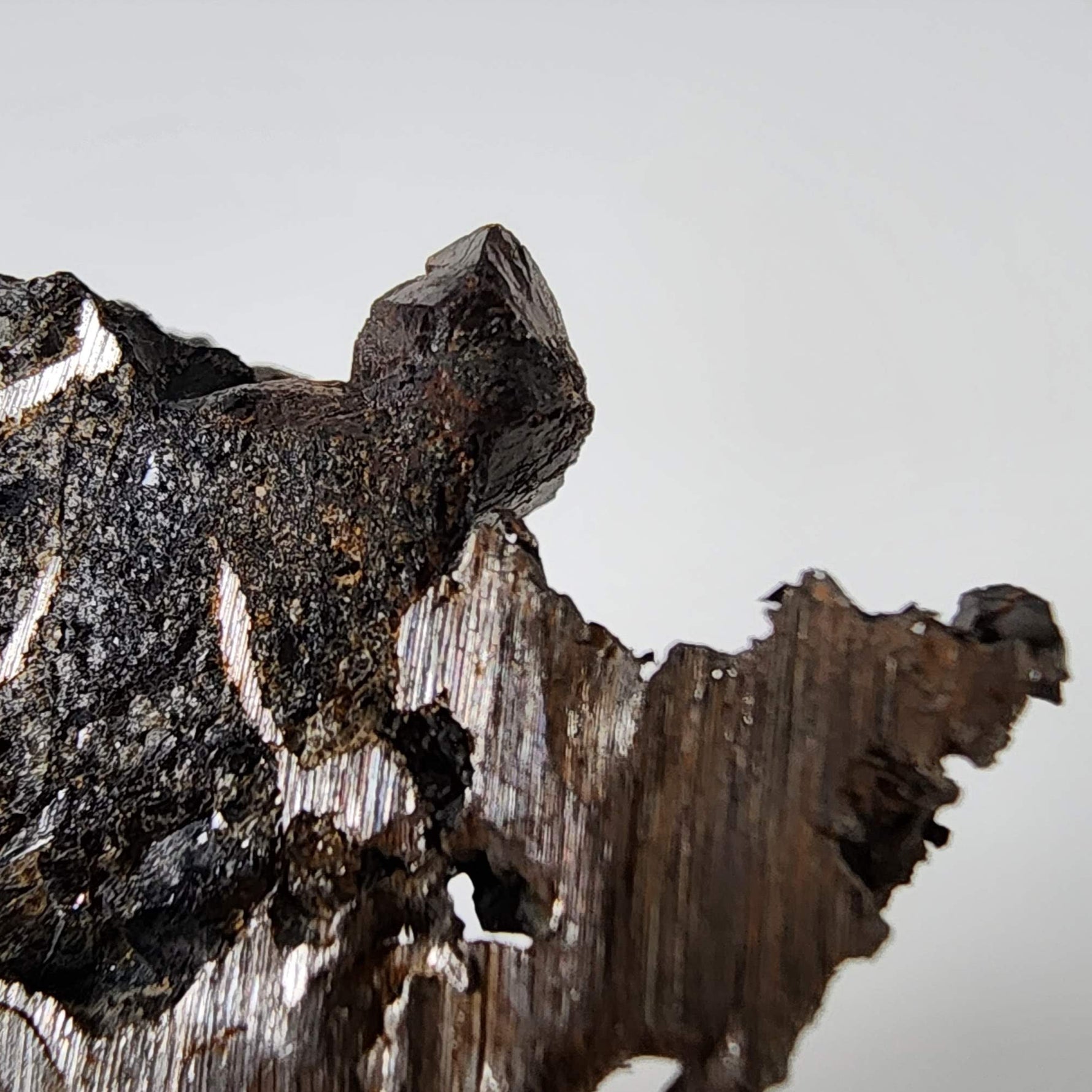  Seymchan Meteorite | 7.14 gr | Part Slice | Olivine Crystals | Pallasite PMG | Russia 8