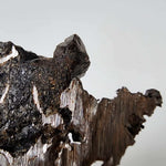 Seymchan Meteorite | 7.14 gr | Part Slice | Olivine Crystals | Pallasite PMG | Russia 8