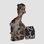  Seymchan Meteorite | 7.32 gr | Part Slice | Olivine Crystals | Pallasite PMG | Russia 