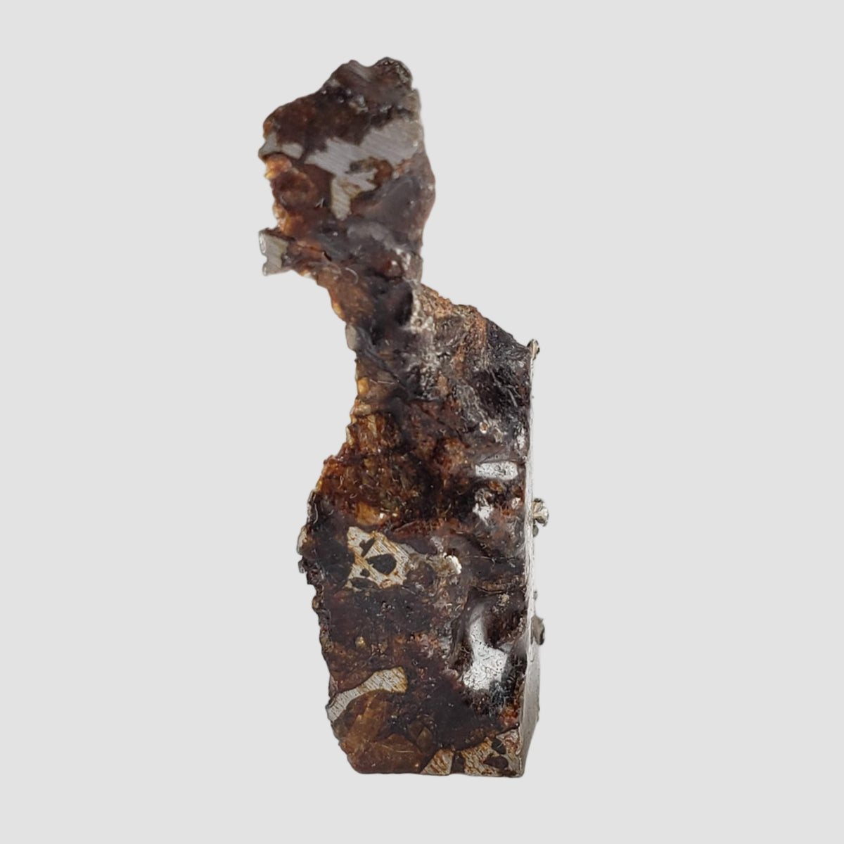  Seymchan Meteorite | 7.32 gr | Part Slice | Olivine Crystals | Pallasite PMG | Russia 1