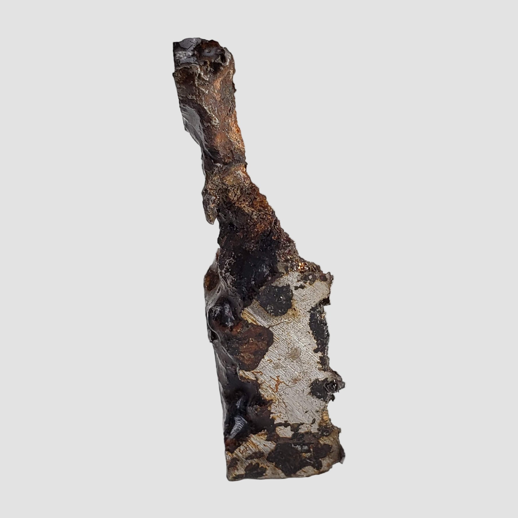  Seymchan Meteorite | 7.32 gr | Part Slice | Olivine Crystals | Pallasite PMG | Russia 2