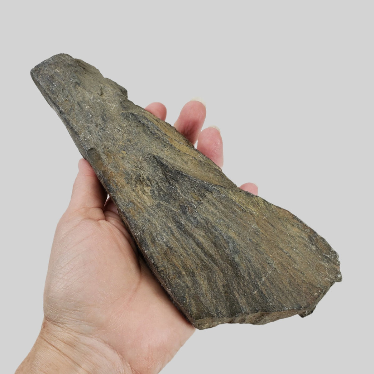  Shatter Cone | 850 grams |  Impactite | Sudbury Impact Structure | Ontario, Canada 