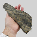  Shatter Cone | 850 grams |  Impactite | Sudbury Impact Structure | Ontario, Canada 1