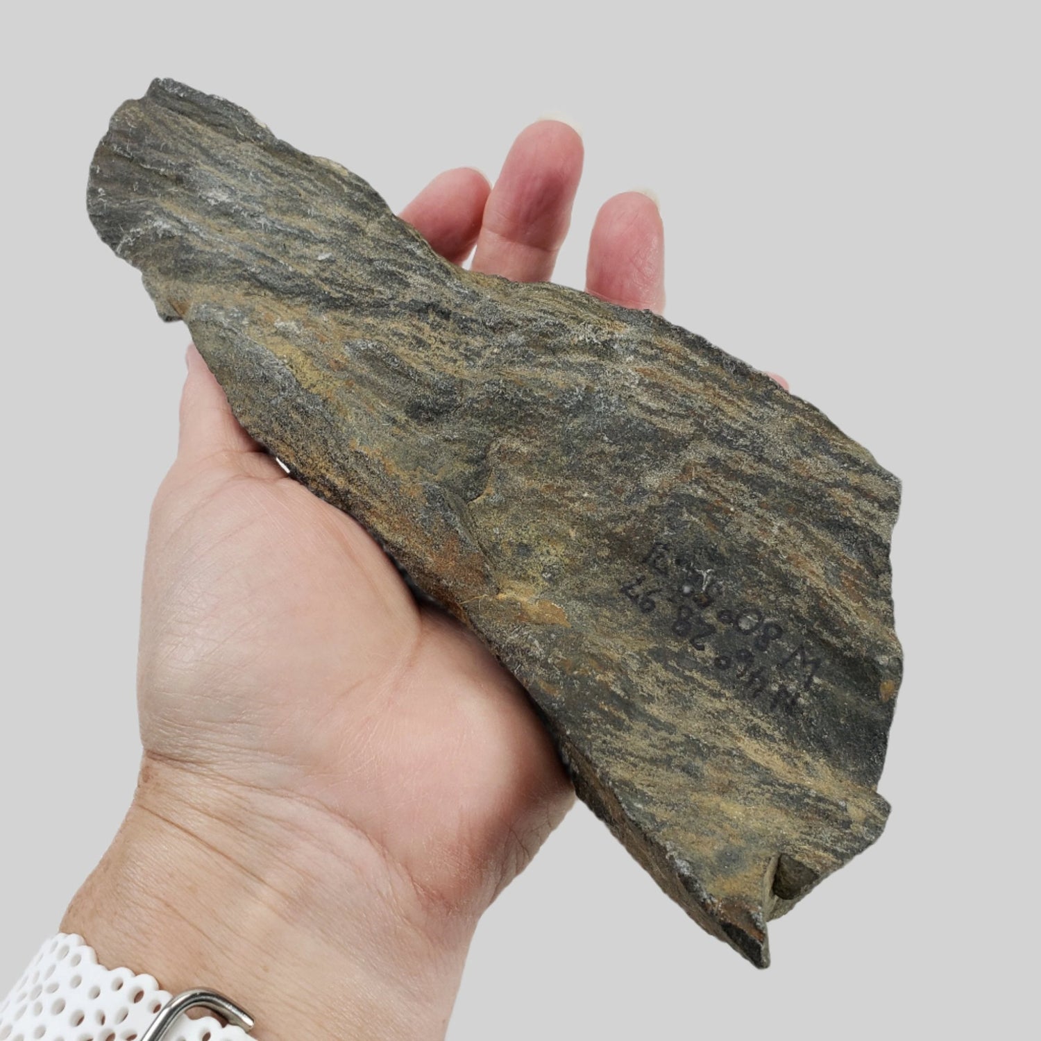  Shatter Cone | 850 grams |  Impactite | Sudbury Impact Structure | Ontario, Canada 1