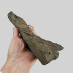  Shatter Cone | 850 grams |  Impactite | Sudbury Impact Structure | Ontario, Canada 5