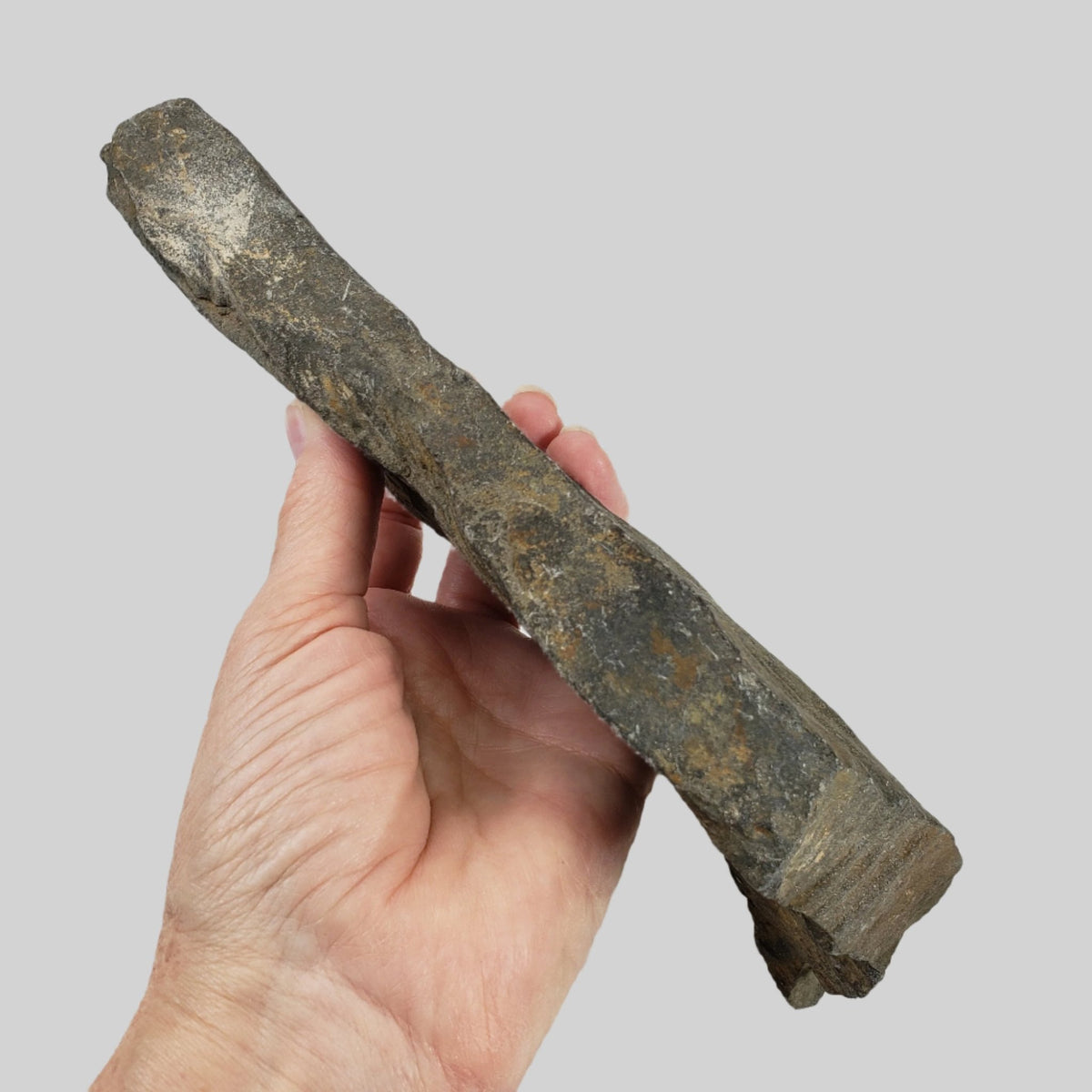  Shatter Cone | 850 grams |  Impactite | Sudbury Impact Structure | Ontario, Canada 6
