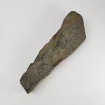  Shatter Cone | 850 grams |  Impactite | Sudbury Impact Structure | Ontario, Canada 7