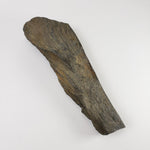  Shatter Cone | 850 grams |  Impactite | Sudbury Impact Structure | Ontario, Canada 8