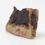  Shatter Cone Impactite | 12.65 grams | Rochechouart Impact Structure | France 2