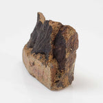  Shatter Cone Impactite | 12.65 grams | Rochechouart Impact Structure | France 4