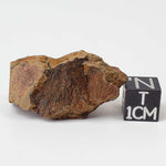  Shatter Cone Impactite | 14 grams | Rochechouart Impact Structure | France 