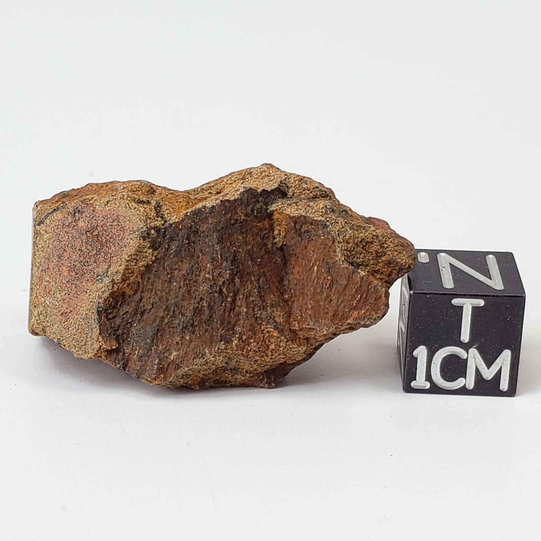  Shatter Cone Impactite | 14 grams | Rochechouart Impact Structure | France 