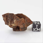  Shatter Cone Impactite | 17.4 grams | Rochechouart Impact Structure | France | SO24 
